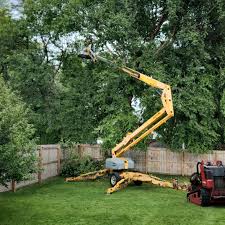 Reliable North Bennington, VT Tree Services Solutions